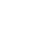 The digital